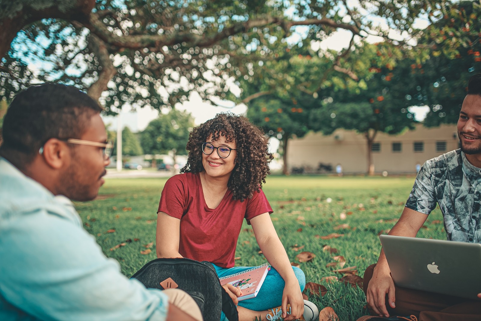 image of a group spending time on a park
